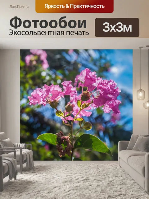 Фотообои Цветы