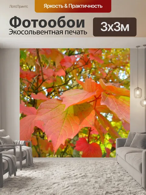 Фотообои Листья