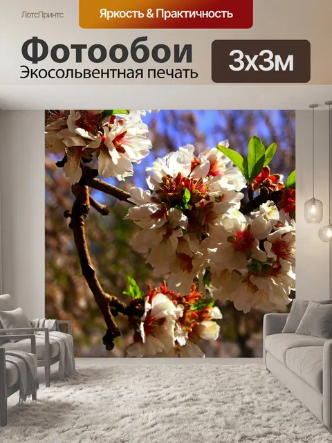 Фотообои Миндальное дерево