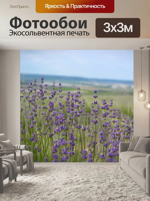 Фотообои Лаванда