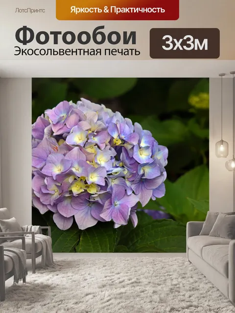 Фотообои розовая гортензия цветочная головка