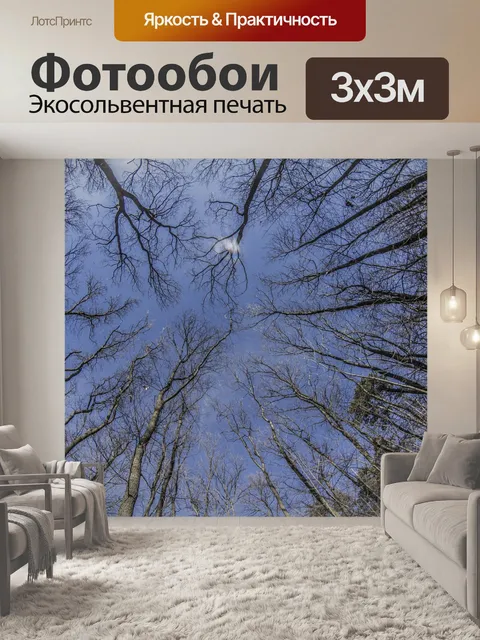 Фотообои Лес