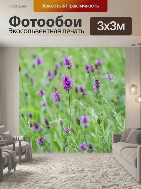Фотообои Бетоны