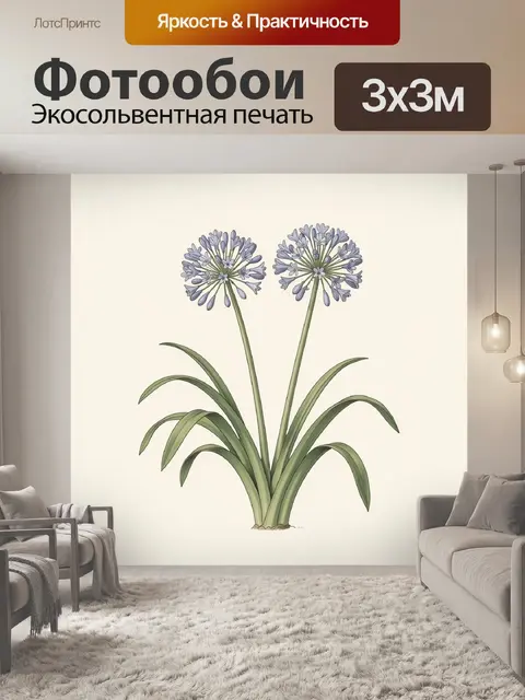 Фотообои Цветы агапантуса на светлом фоне