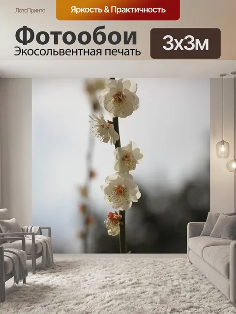 Фотообои Цветы