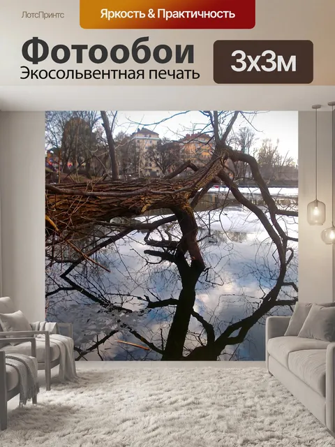 Фотообои Дерево