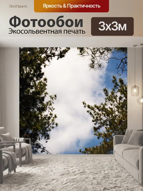 Фотообои верхушки сосен на фоне неба