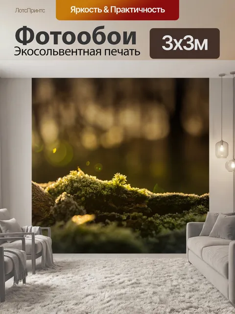 Фотообои Мох