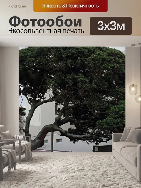 Фотообои Большое прибрежное молочное дерево