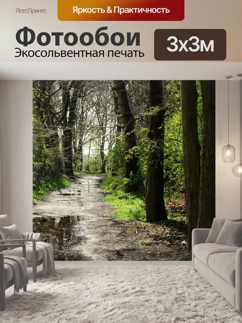 Фотообои Лес после дождя