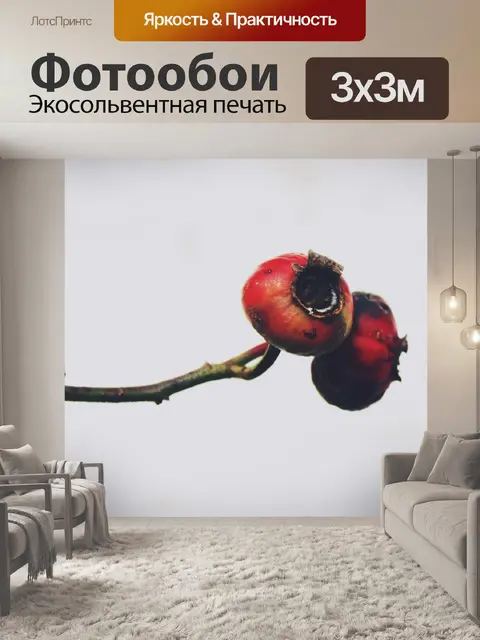Фотообои Боярышник