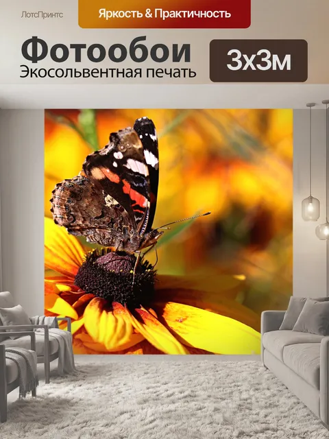 Фотообои Бабочка