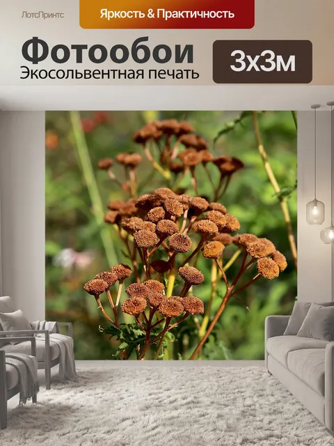 Фотообои Цветы
