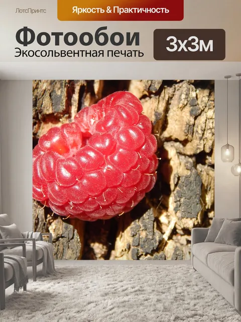 Фотообои Природа