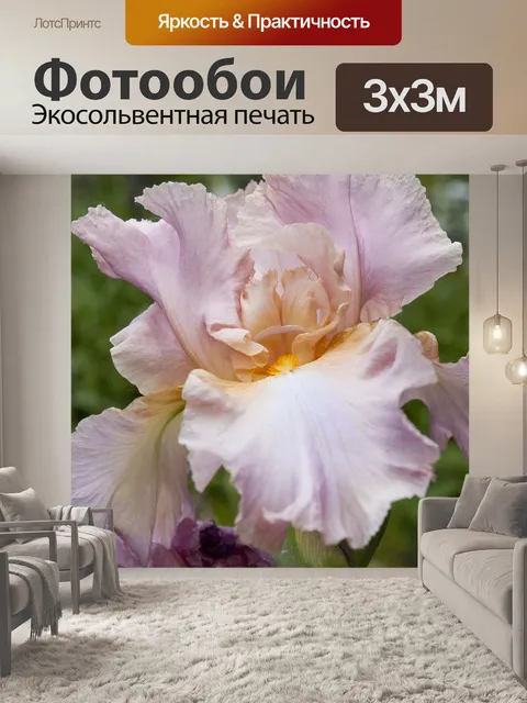 Фотообои Розовый