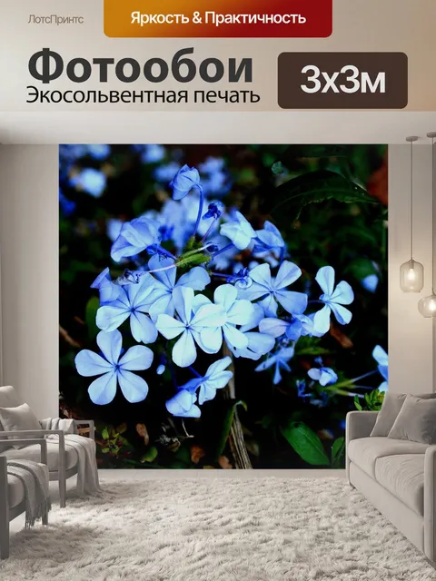 Фотообои Цветы