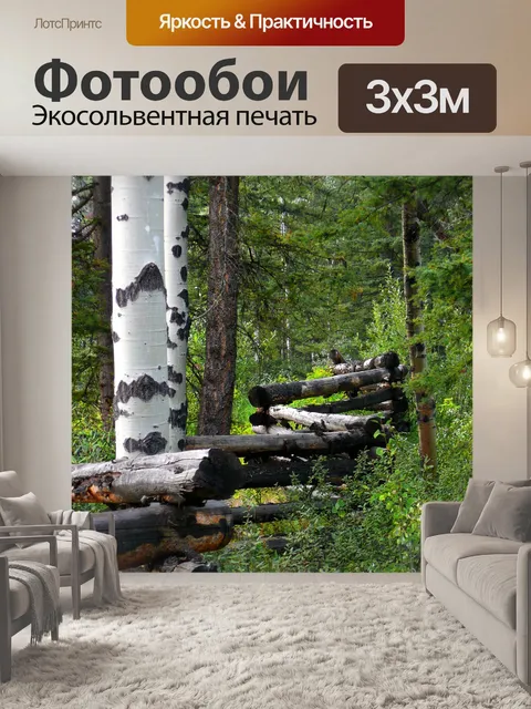 Фотообои Изгородь