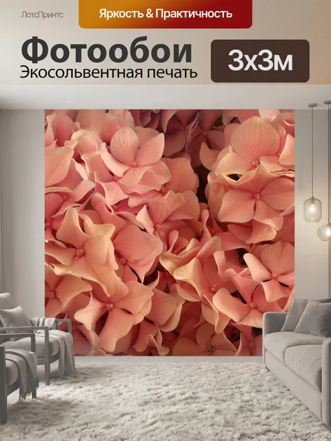 Фотообои розовые гортензии