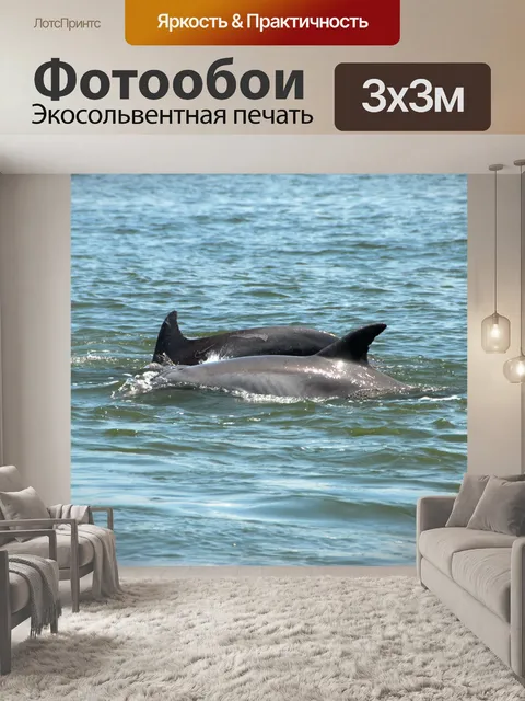 Фотообои Дельфины в Wild