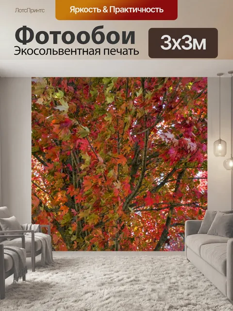 Фотообои Осенние ветви деревьев