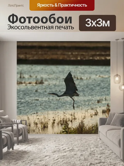 Фотообои Птицы