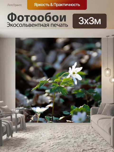 Фотообои Древесные анемоны