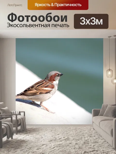 Фотообои Птица