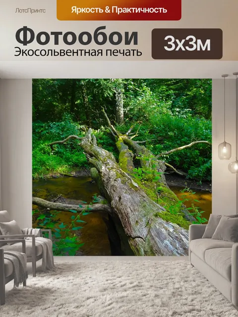 Фотообои Джунгли