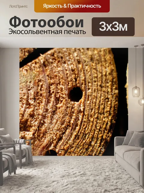 Фотообои Дом