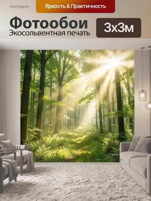 Фотообои Солнечный лесной путь