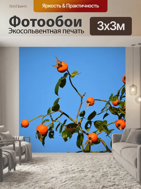 Фотообои Японская хурма