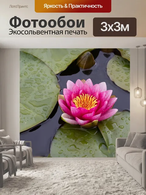 Фотообои Роза