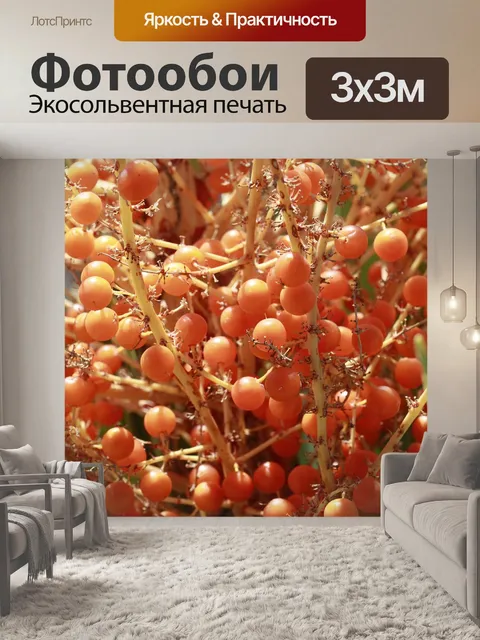 Фотообои Фрукты