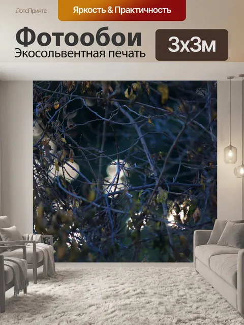 Фотообои веточки и ветки с боке