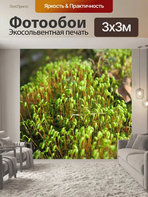 Фотообои Природа