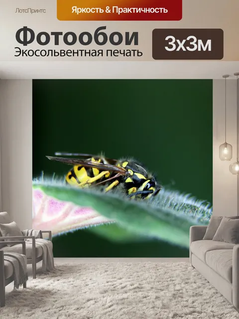 Фотообои Цветок