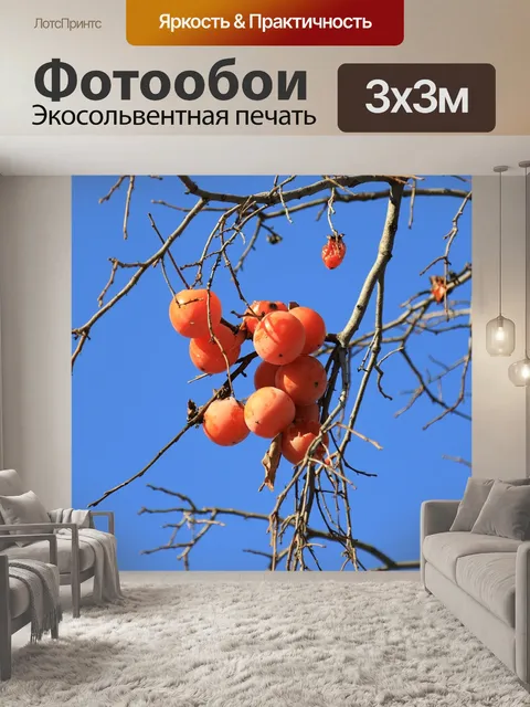 Фотообои Хурма