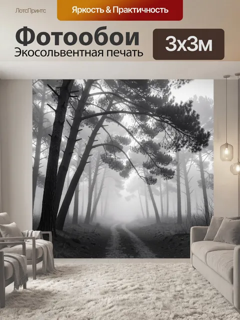 Фотообои Туманный сосновый лес