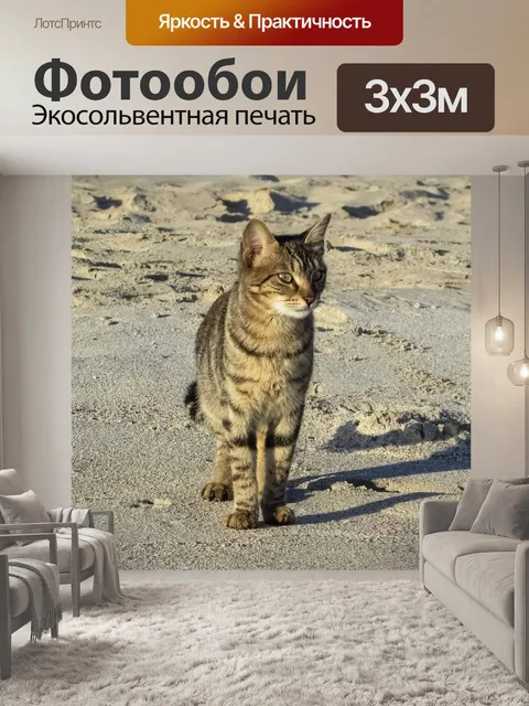 Фотообои Кошка