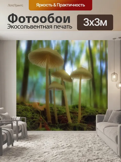 Фотообои Гриб