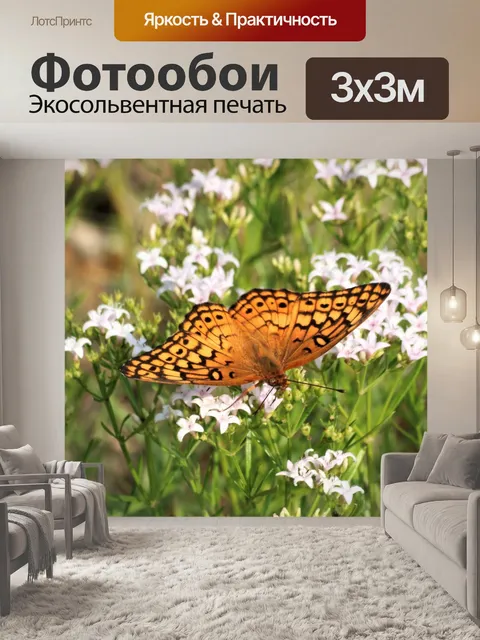 Фотообои Пестрая перламутровая бабочка 10