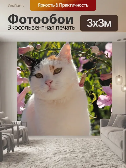 Фотообои Кот