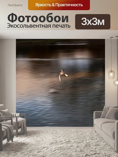 Фотообои Чайка