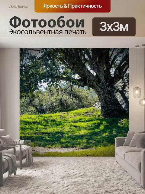 Фотообои Деревья