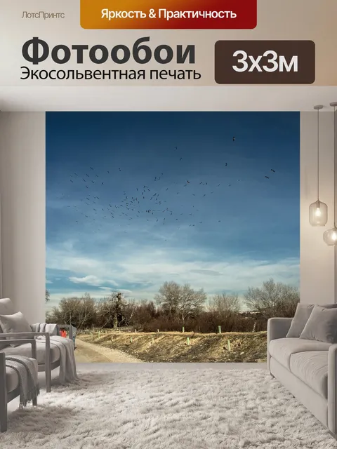 Фотообои Дорожка