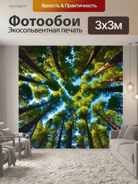 Фотообои круговая панорама леса с вышележащими венцами величественных деревьев