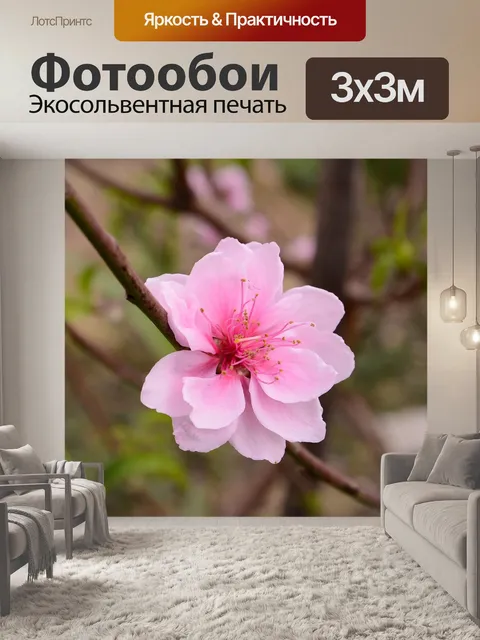 Фотообои Персик