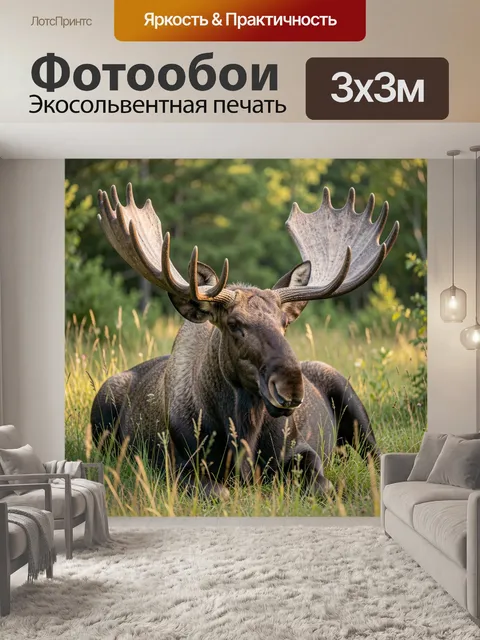 Фотообои Сохатый в лесной траве