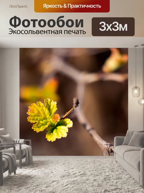 Фотообои Весна