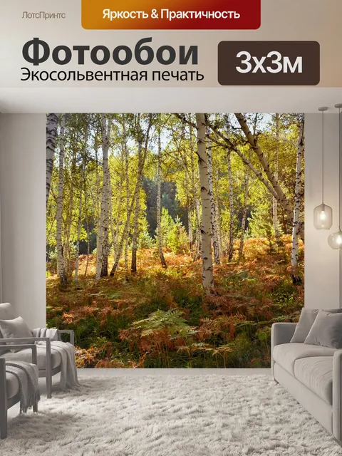 Фотообои Ковер из папоротников